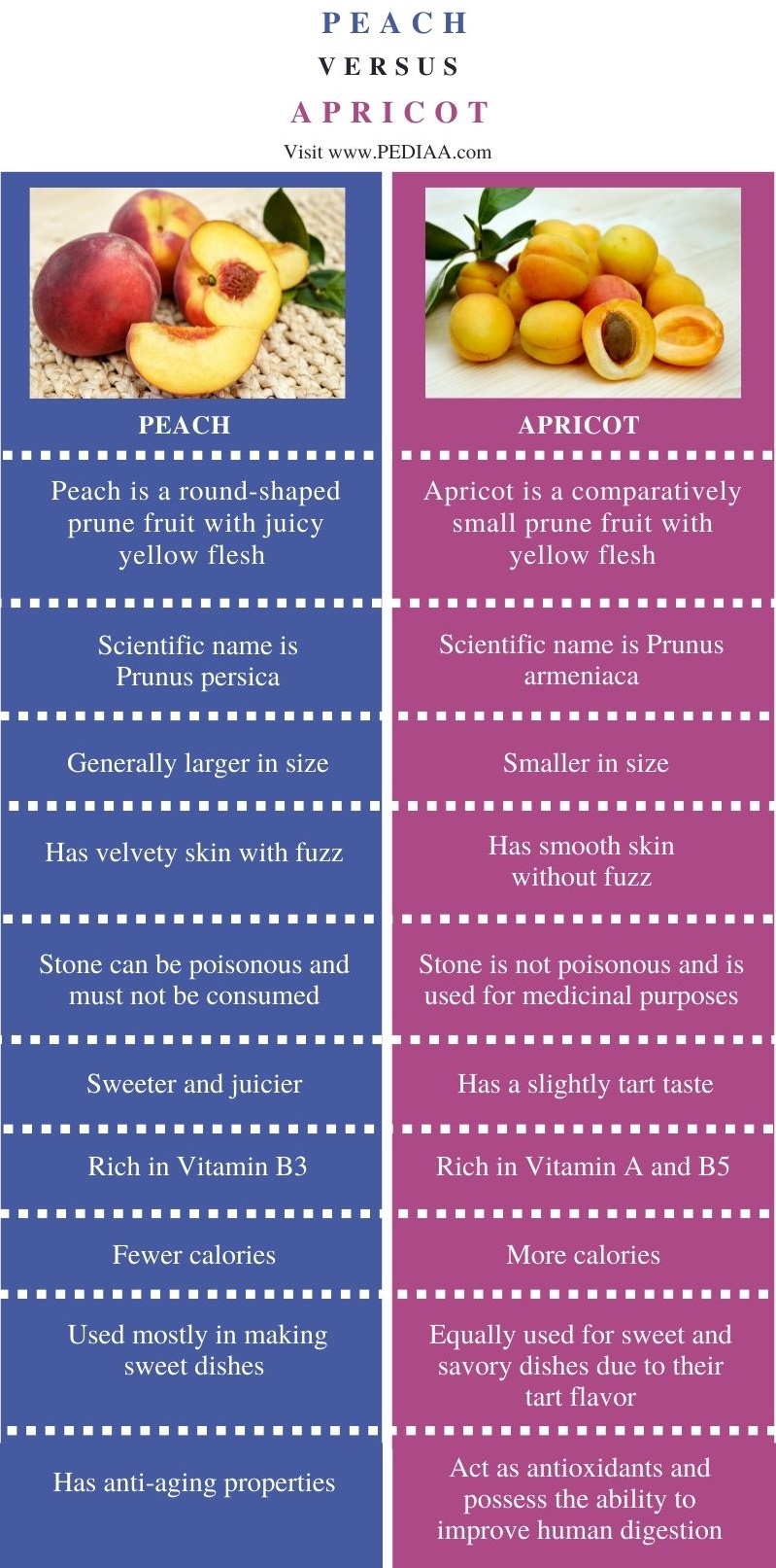 What is the Difference Between Peach and Apricot Entertainment News TV